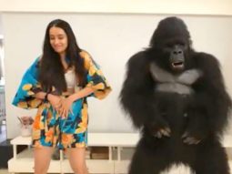 Shraddha Kapoor shakes a leg with ToTo the Gorilla from Hello Charlie; watch