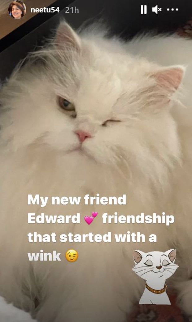 Neetu Kapoor befriends Alia Bhatt’s cat Edward as the actress holidays in Maldives with Ranbir Kapoor; shares picture