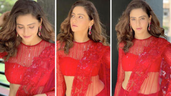 Kasautii Zindagii Kay 2 actress Aamna Sharif sets the temperature soaring in shimmery red saree