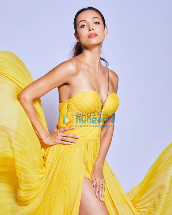 malaika arora 3 29