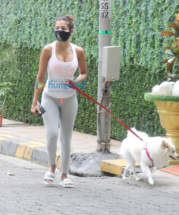 photos malaika arora spotted in bandra 4 17
