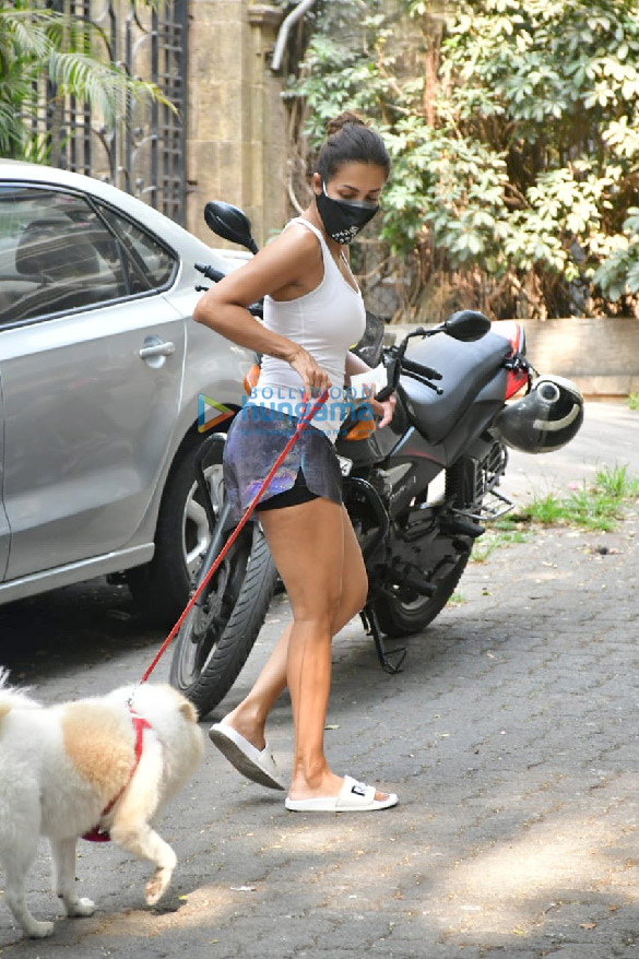 photos malaika arora spotted with her pet 5