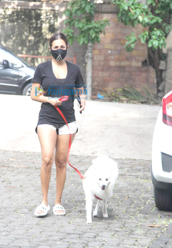 Photos: Malaika Arora spotted with her pet on a morning walk Photos: Malaika Arora spotted with her pet on a morning walk