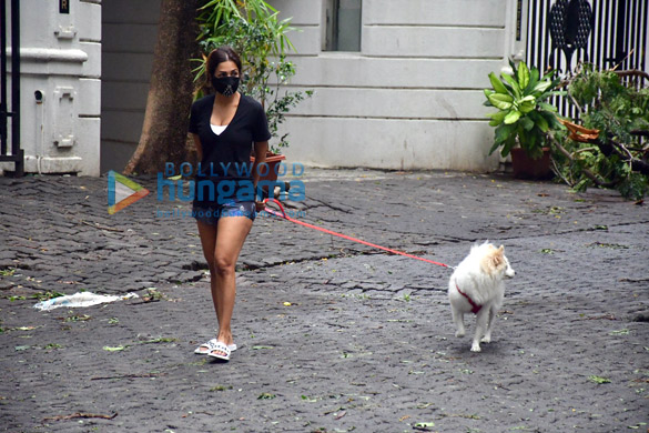photos malaika arora spotted with her pet on a morning walk 1