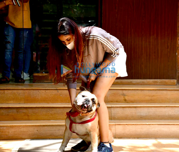 photos sonnalli seygall snapped at a clinic with her pet in khar 4
