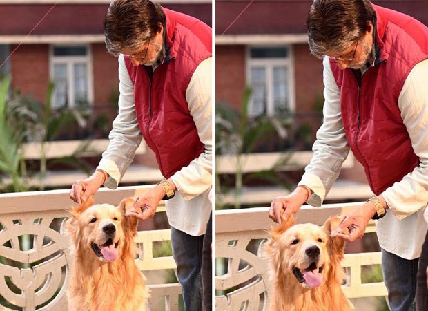 Amitabh Bachchan shares a glimpse of his furry ‘co-star’ from sets of Goodbye Amitabh Bachchan shares a glimpse of his furry ‘co-star’ from sets of Goodbye
