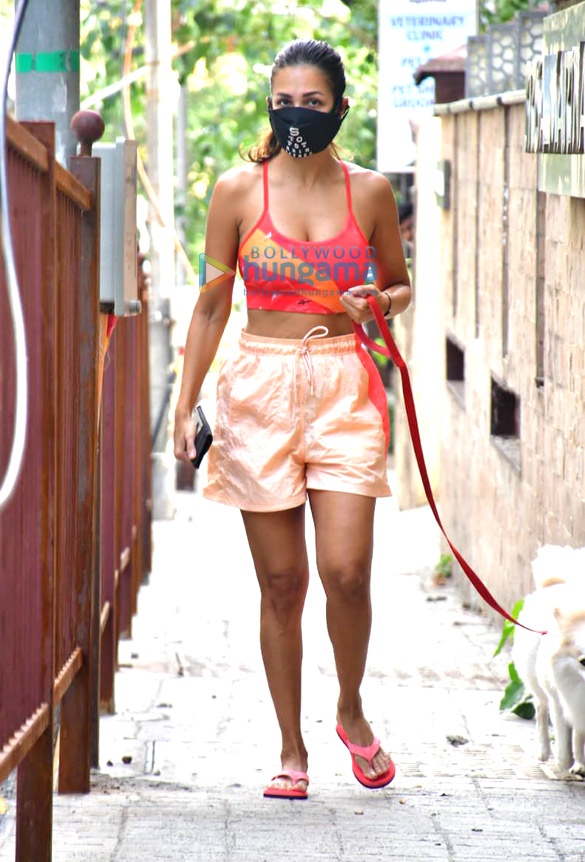 photos malaika arora spotted with her pet on a morning walk 1 4