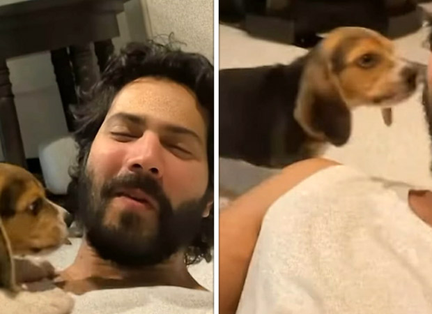 Varun Dhawan is now father of a puppy, asks fans for help to name the pet