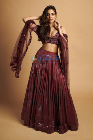 Celebrity Photo Of Malavika Mohanan