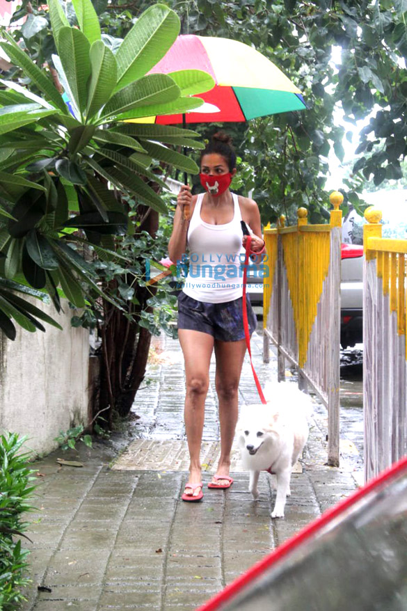 photos malaika arora spotted in bandra 1 32