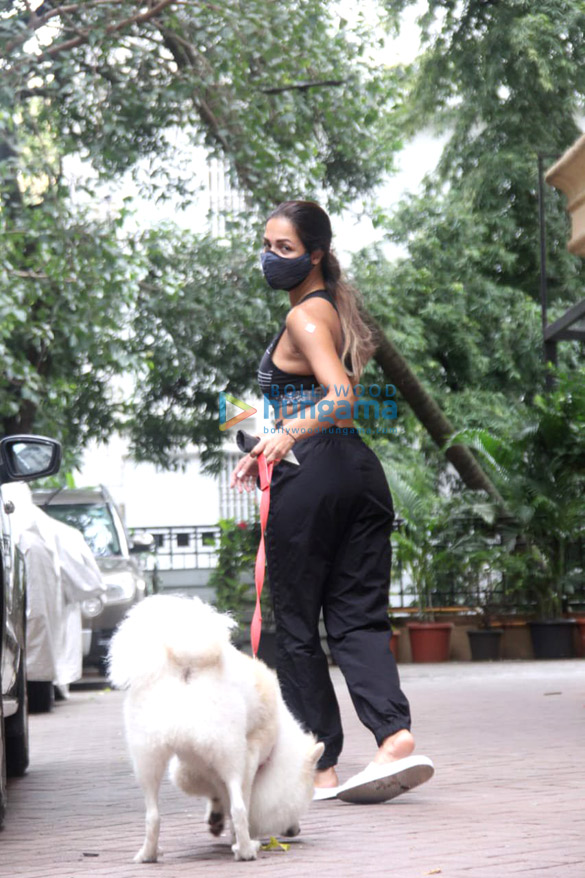 photos malaika arora spotted in bandra 2 35