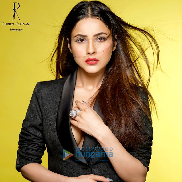 shehnaaz gill 2 5