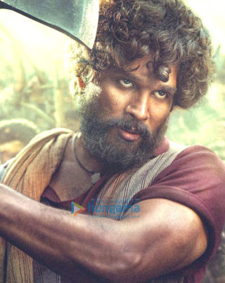 Movie Stills Of Pushpa