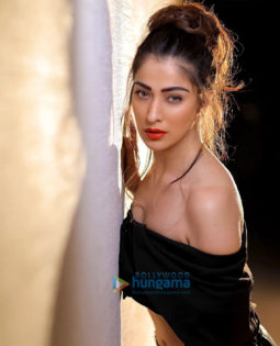 Celebrity Photo Of Raai Laxmi