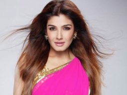 Raveena Tandon to play negative character in Manish Gupta’s thriller?