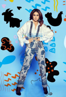 Celebrity Photo Of Genelia D'Souza