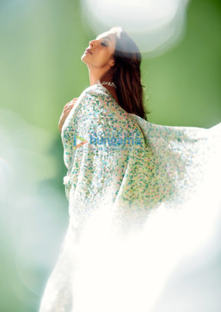 Celeb Photos Of Malaika Arora