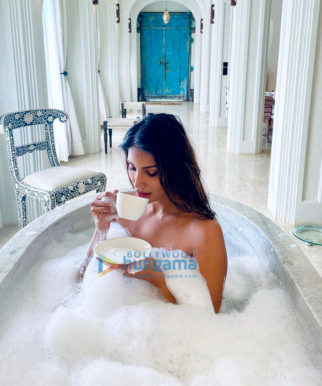 Celebrity Photo Of Nicole Faria