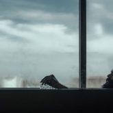 Malayalam film actor Jayasurya’s 100th film Sunny to premiere on Amazon Prime Video