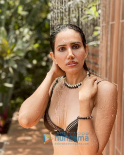 Celeb Photos Of Sonnalli Seygall
