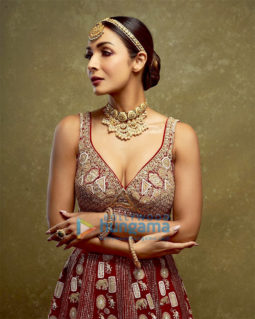 Celebrity Photo Of Malaika Arora