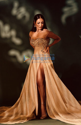 Celebrity Photo Of Malaika Arora