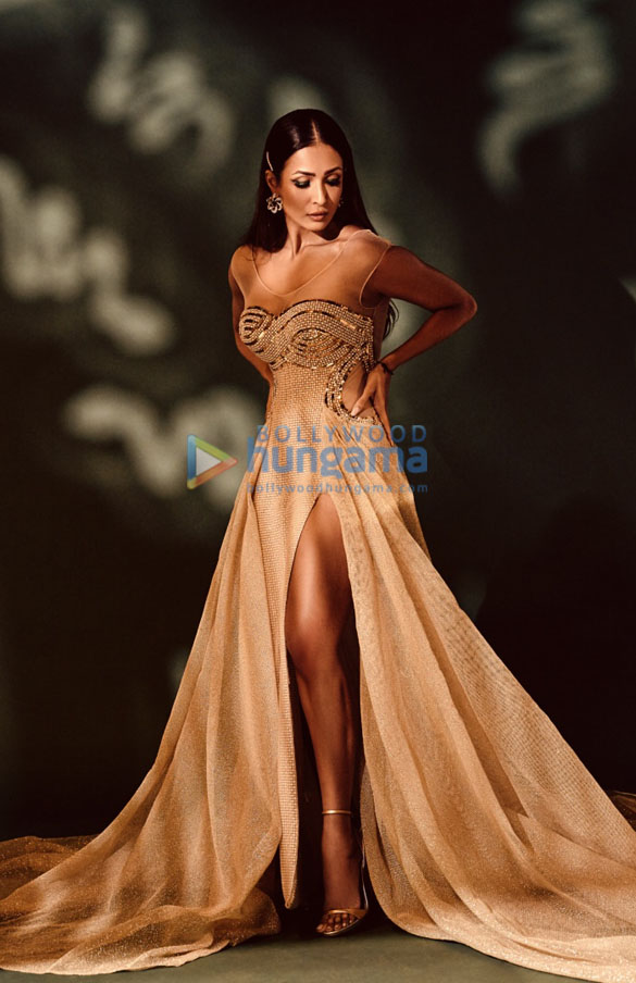 malaika arora 2120 4
