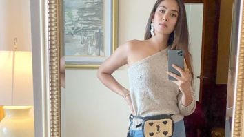 Mira Kapoor falls prey to trends in latest Instagram picture