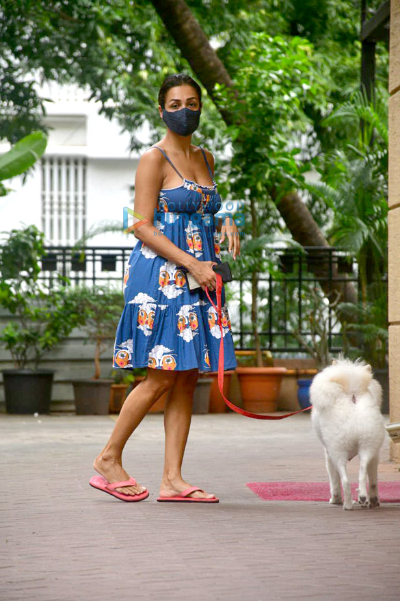 photos malaika arora spotted with her pet on a morning walk 4 8