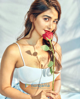 Celeb Photos Of Pooja Hegde