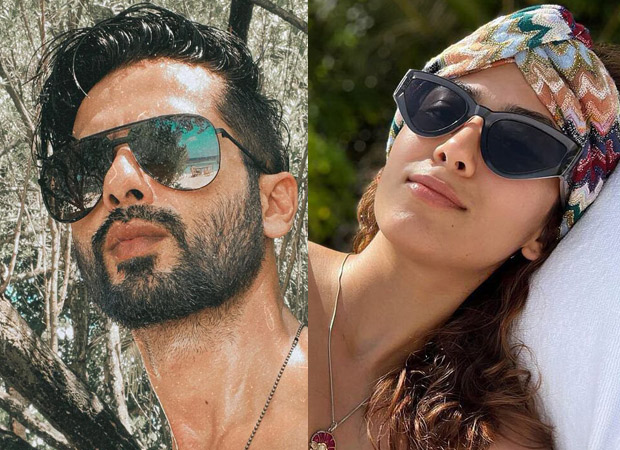 Shahid Kapoor and Mira Rajput spend quality time in Maldives, see photos