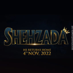 First Look Of The Movie Shehzada