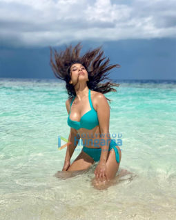 Celeb Photos Of Sophie Choudry