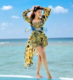 Celeb Photos Of Alaya F