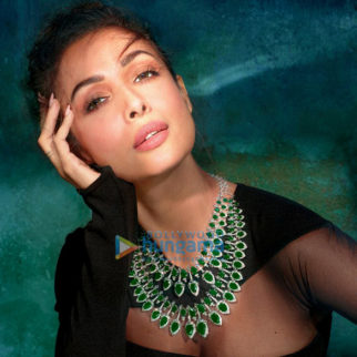 Celebrity Photo Of Malaika Arora