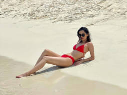 Manushi Chhillar enjoys sunny beach weather in Maldives in skimpy red bikini, see photos 