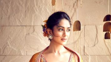 Celeb Photo Of Mrunal Thakur