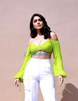 Celeb Photo Of Mrunal Thakur