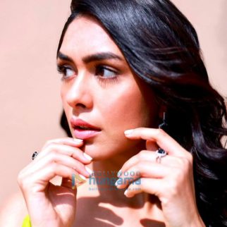 Celeb Photo Of Mrunal Thakur
