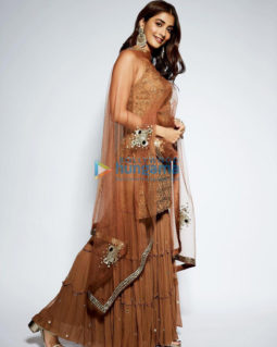 Celebrity Photos of Pooja Hegde