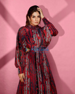 Celebrity Photos of Raveena Tandon