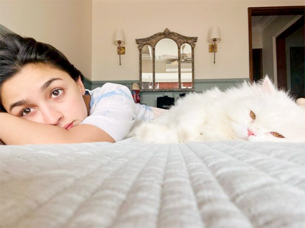 Alia Bhatt starts her week with her furry friend Edward, See Pic Alia Bhatt starts her week with her furry friend Edward, See Pic