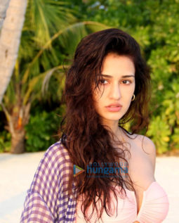 Celebrity Photo Of Disha Patani