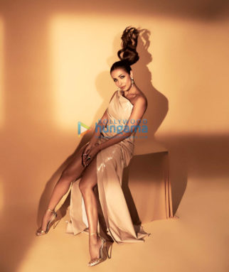 Celeb Photos Of Malaika Arora