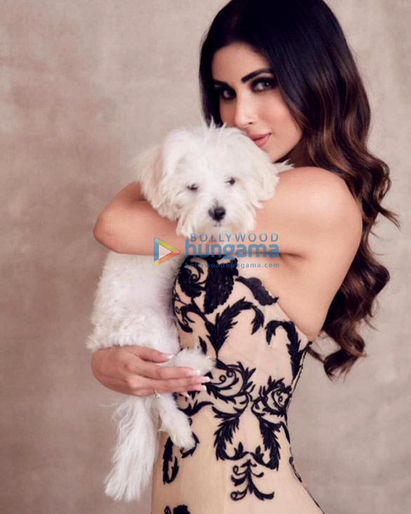 mouni roy 1 66