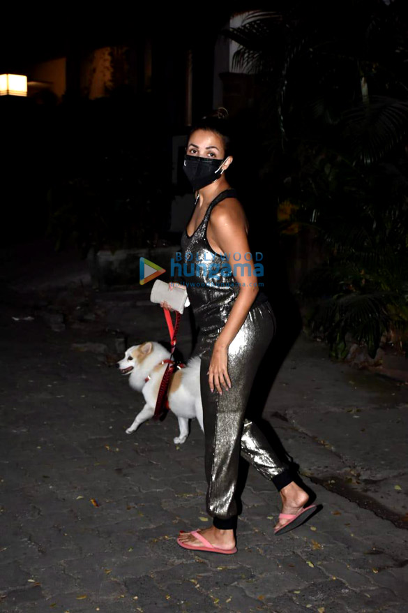 photos malaika arora spotted with her pet in bandra 05 6