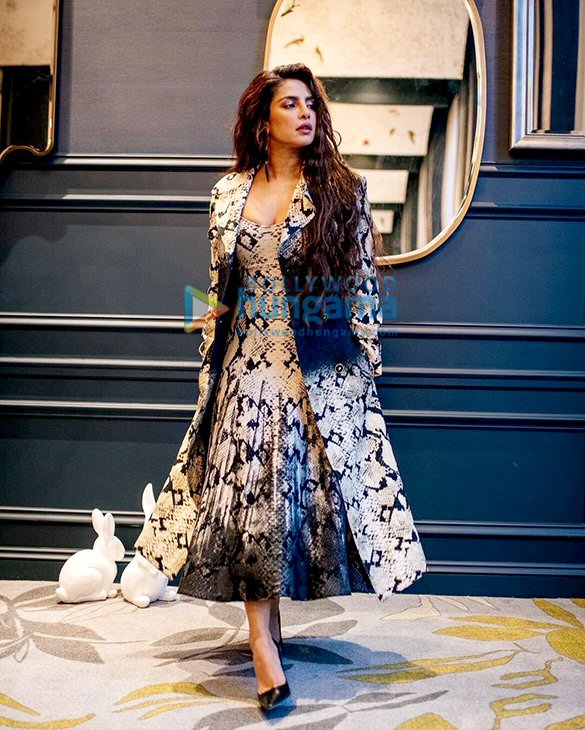 priyanka chopra jonas 4 6