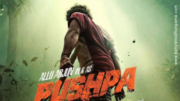 First Look Of Pushpa