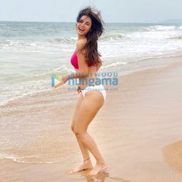 Celebrity Photos of Sonal Chauhan