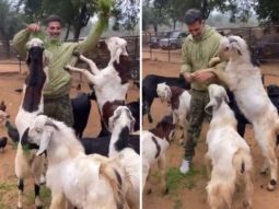 Akshay Kumar struggles to feed goats in new video, watch